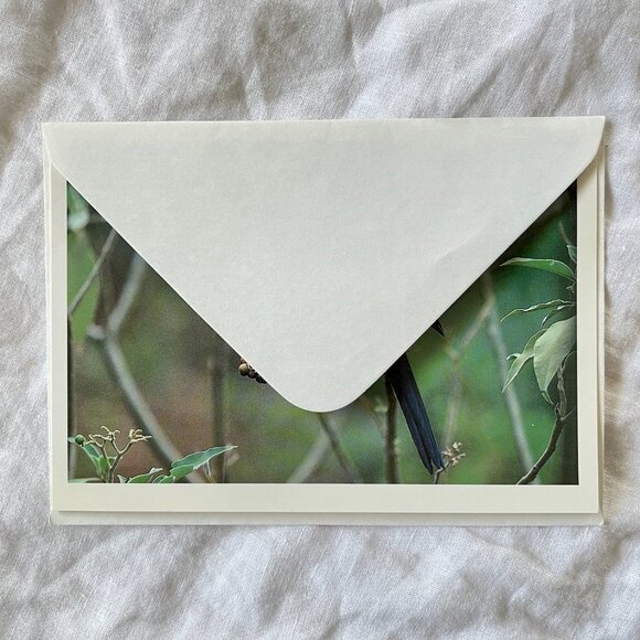 Australian Wildlife Photography Greeting Cards - Picture 15 of 16